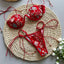 Floral Embroidered Micro Bikini