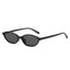 Oval Sunglasses – Retro Small Frame